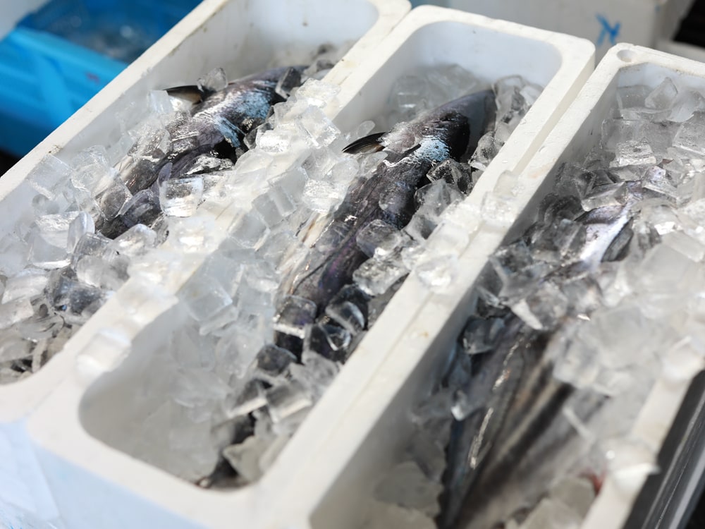 【2025年版】本場高知の生(なま)の初カツオとは